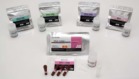 Bild für Kategorie DNA-Kits